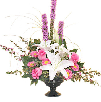 SOPHISTICATED ELEGANCE