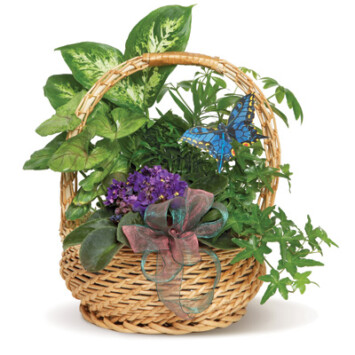 Butterfly Basket