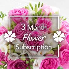 3 Month Flower Subscription