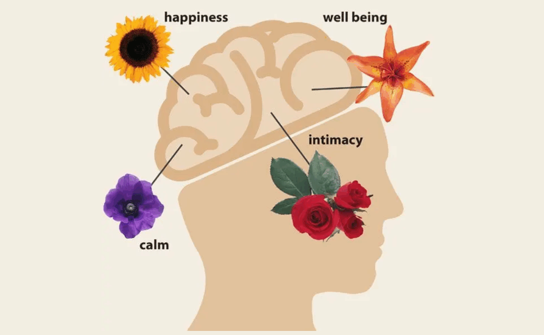 Flowers Improve Emotional Health: Why Spreading Joy Matters More Than Ever