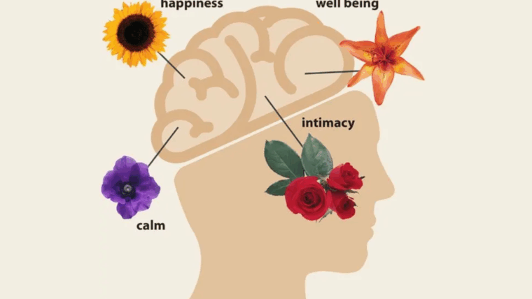 Flowers Improve Emotional Health: Why Spreading Joy Matters More Than Ever