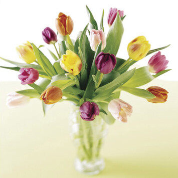 Tulip Carnival Bouquet